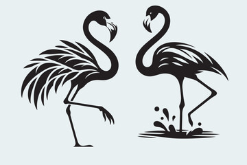 flamingo vector and bird illustration