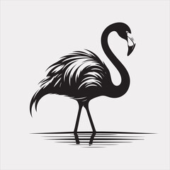 Fototapeta premium flamingo silhouette vector