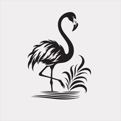 flamingo, bird, pink, animal, vector,