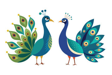 Peacock vector illustration