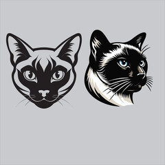 Obraz premium Siamese Cat, Persian Cat, Maine Coon Cat, Bengal Cat, Sphynx Cat. vector