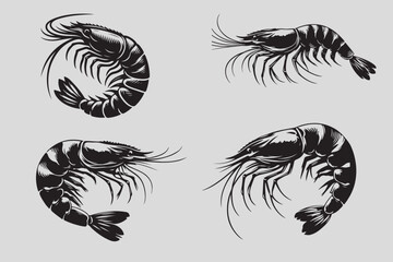 Shrimp vector