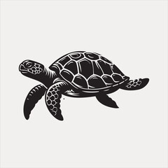 Fototapeta premium turtle vector