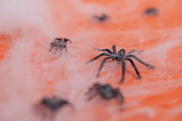 Close-up of spiders in a web on an orange background.
