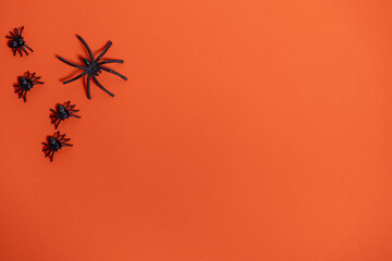 Close-up of spiders on orange background. Top view. For Halloween backgrounds