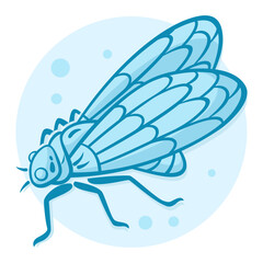 18-Cicada.svg