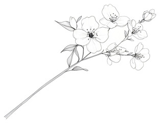 Simple floral illustration of a blooming cherry blossom.