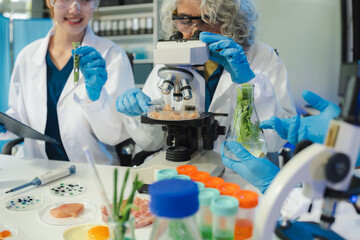 Fototapeta premium Microbiologist Working on Molecule Samples in Modern Food Science Laboratory, Control experts inspect the concentration of chemical residues. hazards, standard, contaminate.