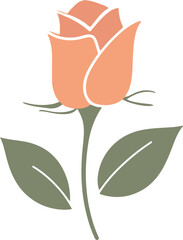 Vector Rose Illustration with Soft Peach Petals