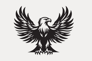 eagle vector and illustration