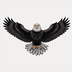 eagle vector and illustration
