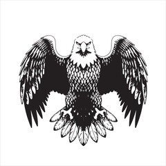eagle vector and illustration
