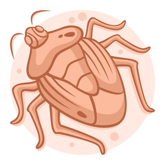 41-Shieldbug.svg