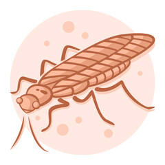 46-Stonefly.svg