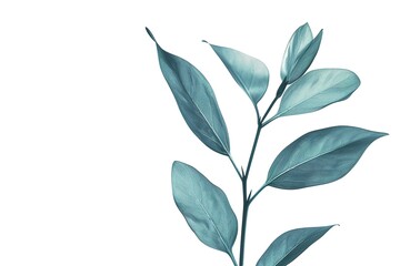 Modern abstract art. Watercolor floral illustration. Golden elements, watercolor painting, children's wallpaper. Hand drawn plants. Tropical, flowers. leaf. Prints, wallpapers, posters, cards, murals