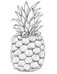 Graphic art, realistic image of pineapple. Element for design, clipart. Hand drawn Linear Tropical Fruit isolated on white background. Summer Logo for Market, Plant Concept, Healthy Tasty Illustration