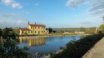 Wetlands in the Po River Delta, Veneto, Italy