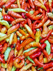 1. pile of red cayenne pepper closeup