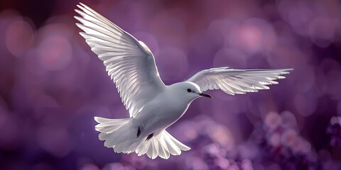 Obraz premium White Bird Soaring Through Purple Haze, Copy Space for Your Inspiration