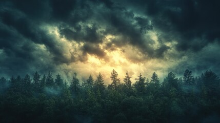 Naklejka premium Dark Forest and Stormy Skies