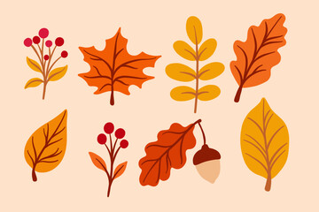 Autumn leaves, colorful leaf doodle, vector illustration, fall clip art set