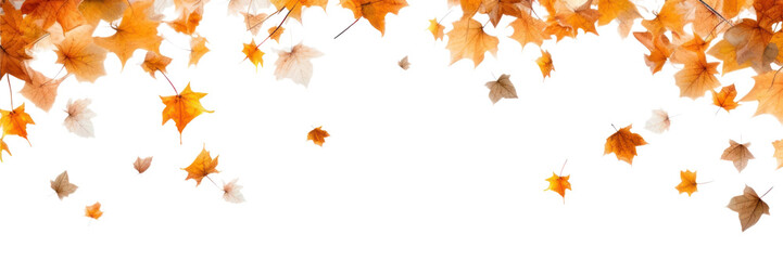 PNG Falling leaves border bonfire plant maple.