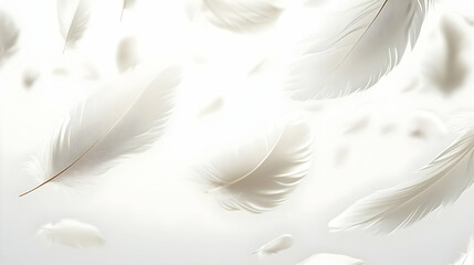 White feathers falling gracefully on a white background.