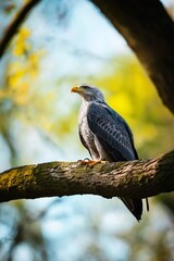 A majestic eagle perched on a thick tree branch, basking in sunlight with a blur of green foliage in the background.