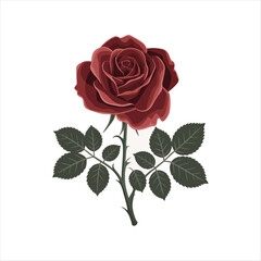 Red Rose with Leaves in Minimalist Design