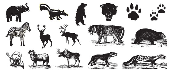 d Wild Jungle Animals Compendium Group Sillhoutte Artwork vector editable logo for Wall Sticker t-shirt design and multipurpose use in high definition format