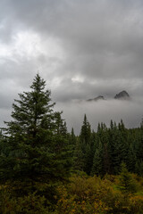 A vertical format image of a large mountain enclosed in thick cloud with an evergreen forest in the foreground.  Castle mountain Banff National Park.
