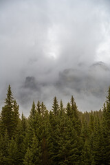 A vertical format image of a large mountain enclosed in thick cloud with an evergreen forest in the foreground.  Castle mountain Banff National Park.
