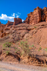 Fototapeta premium Charyn Canyon, Valley of Castles. The excellence of Kazakhstan. Panorama of natural unusual landscape. The red canyon of extraordinary beauty looks like a Martian landscape.