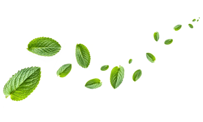 Mint leaves floating on a white background. Mint leaves flying PNG.
