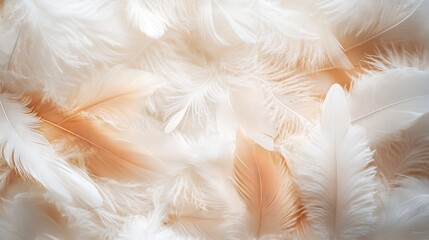 Elegant Feathers Creating a Serene Interior Design Atmosphere. AI generated illustration