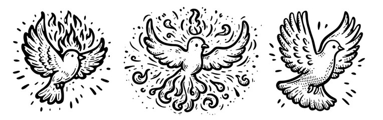 black and white vector illustrations of holy doves representing peace