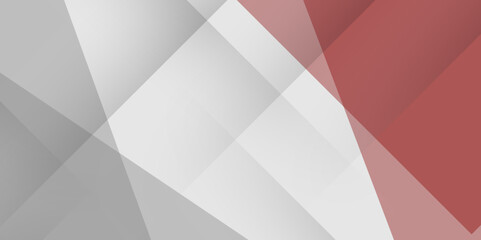 Fototapeta premium Simple Grey White Silver Abstract Background for Presentation Design. Geometric triangle, mosaic, abstract background. Mosaic, one-color background. Mosaic texture. The effect of stained glass. 