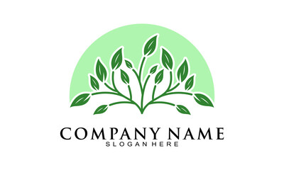 Elegant plant logo design vector