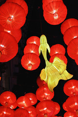 香港の金魚のランタン