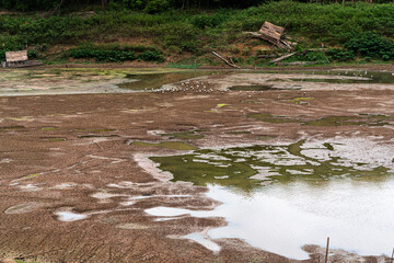 A flock of white and black birds, likely storks or herons, stands on the dried-up mud of a lake bed. The water level is low, exposing the cracked earth. There are small thatched huts on the shore.