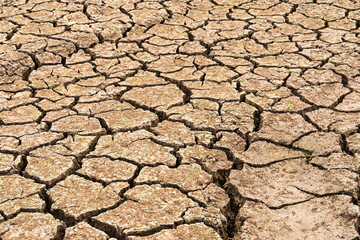 The ground is a mosaic of dried mud, with deep fissures and ridges stretching out in all directions. The color ranges from pale brown to reddish hues, suggesting a lack of moisture and intense heat.