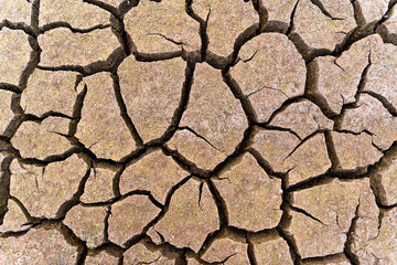 The ground is a mosaic of dried mud, with deep fissures and ridges stretching out in all directions. The color ranges from pale brown to reddish hues, suggesting a lack of moisture and intense heat.
