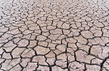 The ground is a mosaic of dried mud, with deep fissures and ridges stretching out in all directions. The color ranges from pale brown to reddish hues, suggesting a lack of moisture and intense heat.