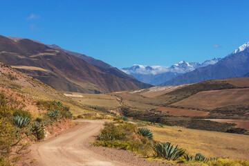 Fields in Peru