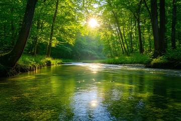 Fototapeta premium A bright and peaceful view of a lush forest with a crystal clear stream that reveals the rocks beneath. Sunlight filters through tall trees. No people. A natural scene suitable for ecotourism.