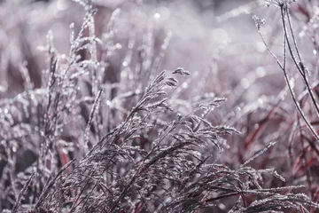 Fleecedeken met foto Frozen meadow © Galyna Andrushko