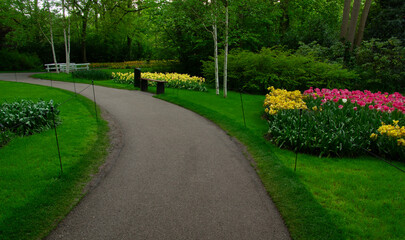 Garden stone path in a botanical garden