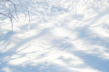 Frosty Branches Against a Snowy Background