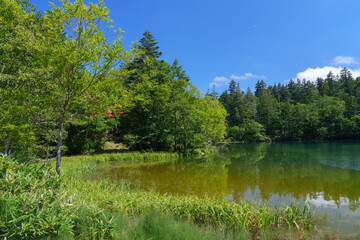 空沼岳登山　万計沼の景色　札幌市の自然