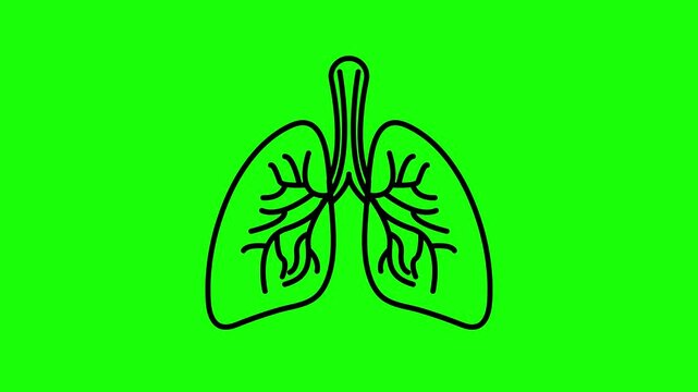 icon symbol lungs animated body organs respiration lungs and nerves pumping air human respiration looping 4k green screen icon